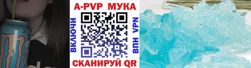 МЕФ Хасавюрт